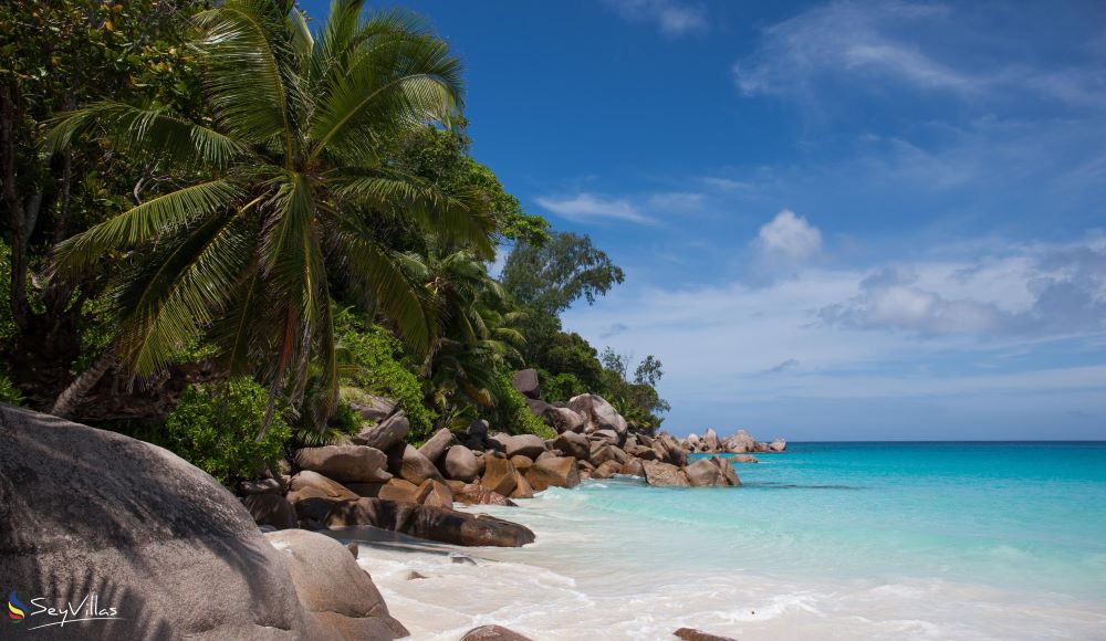 Navegar por Seychelles: Playa de Anse Georgette