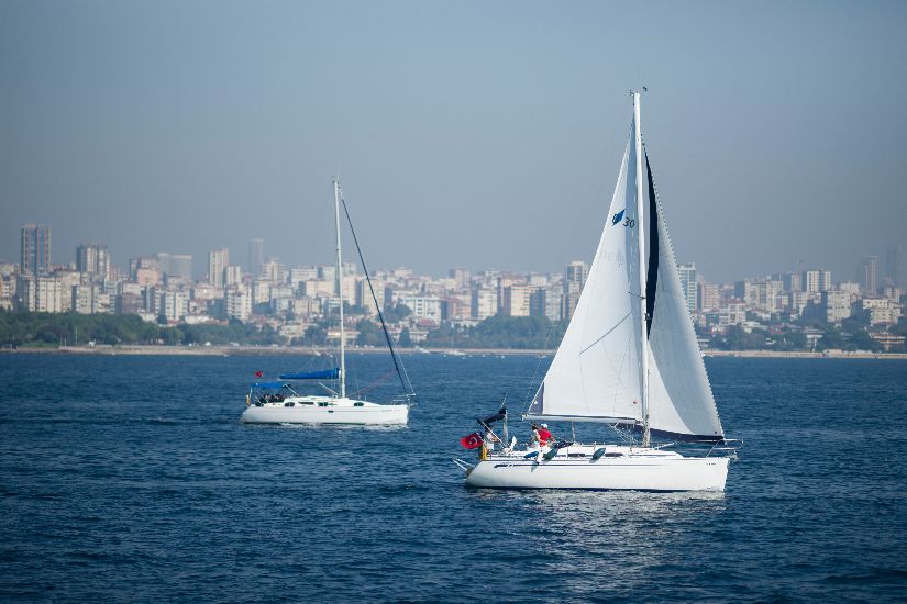 diferencia entre catamaran y velero